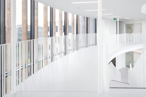 A2M-2010-the genesis-photos pro- (10)