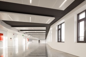 A2M-2010-the genesis-photos pro- (12)