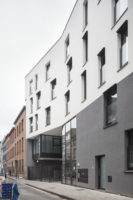 Linne plantes (c) architect A2M - photo Stijn Bollaert (12)