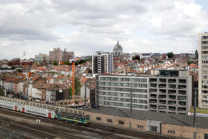 Linne plantes (c) architect A2M - photo Stijn Bollaert (4)