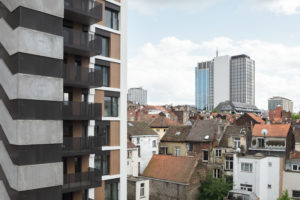 Linne plantes (c) architect A2M - photo Stijn Bollaert (5)