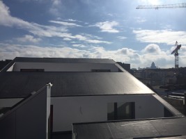 A2M-2013-Vandenbranden-photo-01