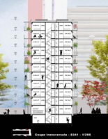 A2M - peterbos - coupe