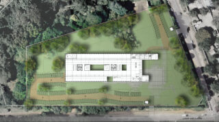 implantation fond vert